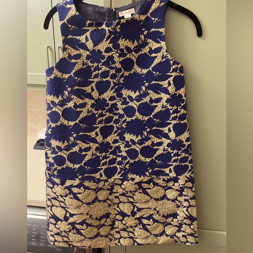 Crewcuts girl size 10 dress